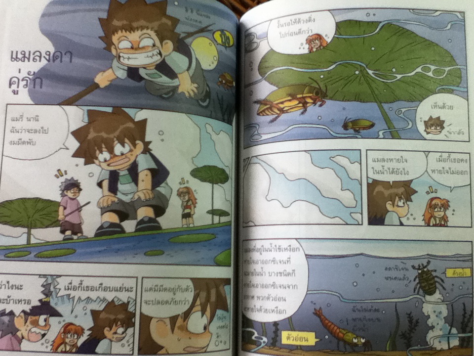 เอาชีวิตรอดในอาณาจักรแมลง เล่ม 1-3/ ฮอง แจซอย