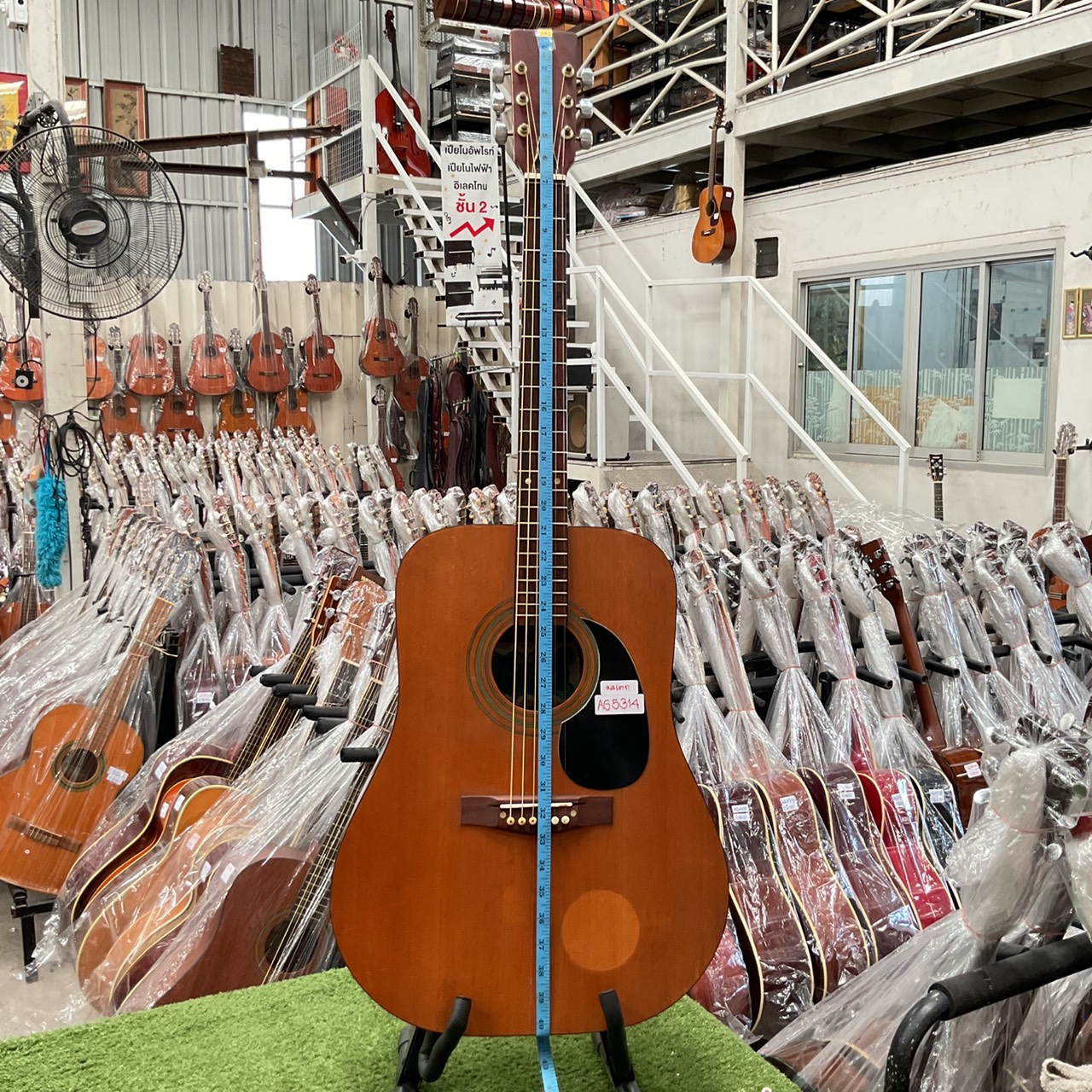 กีต้าร์โปร่ง Muse