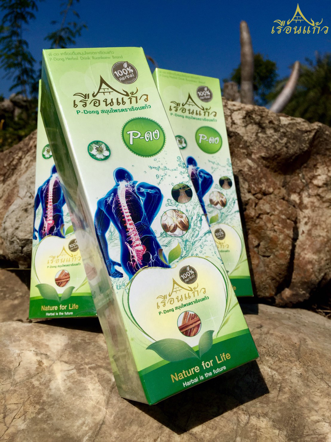 P-ดง พีดง 750 มล