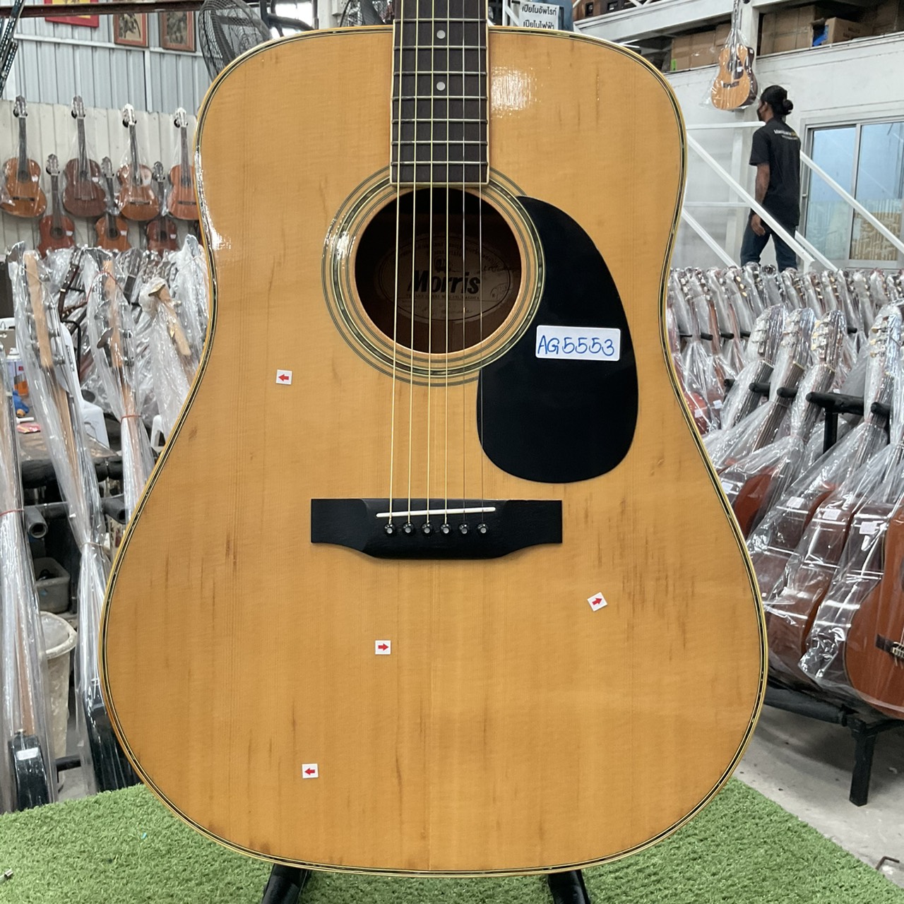 กีต้าร์โปร่ง Morris : W-23