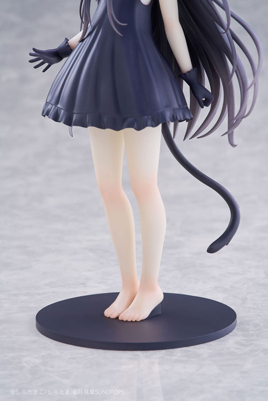 [Bonus] "Hoshizora Tetsudou to Shiro no Tabi" Noir 1/7 Complete Figure(Pre-order)