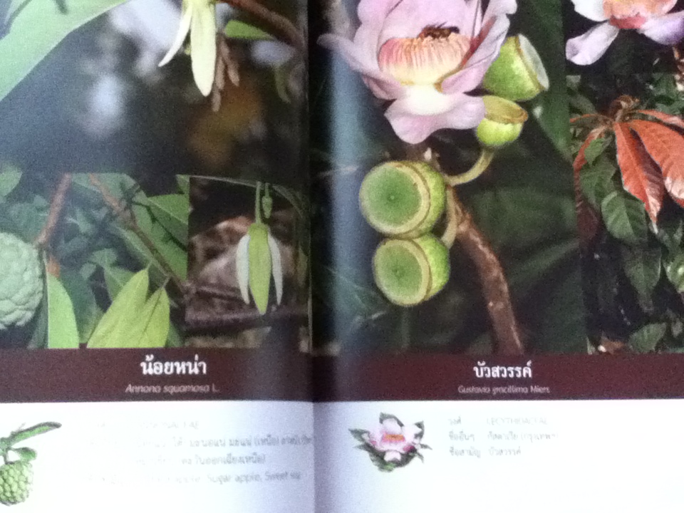 พรรณไม้ และ ปักษาพรรณ ในอุทยานจามจุรี 2เล่ม/ชุด พร้อมกล่องบรรจุ