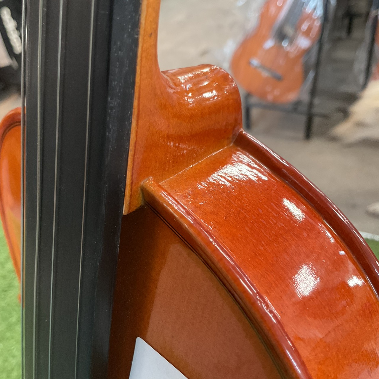 ไวโอลิน Stentor : RO69423