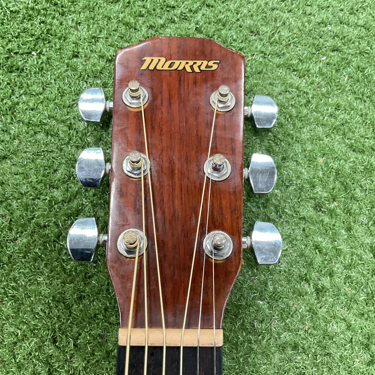 กีต้าร์โปร่ง MORRIS : M-01NAT