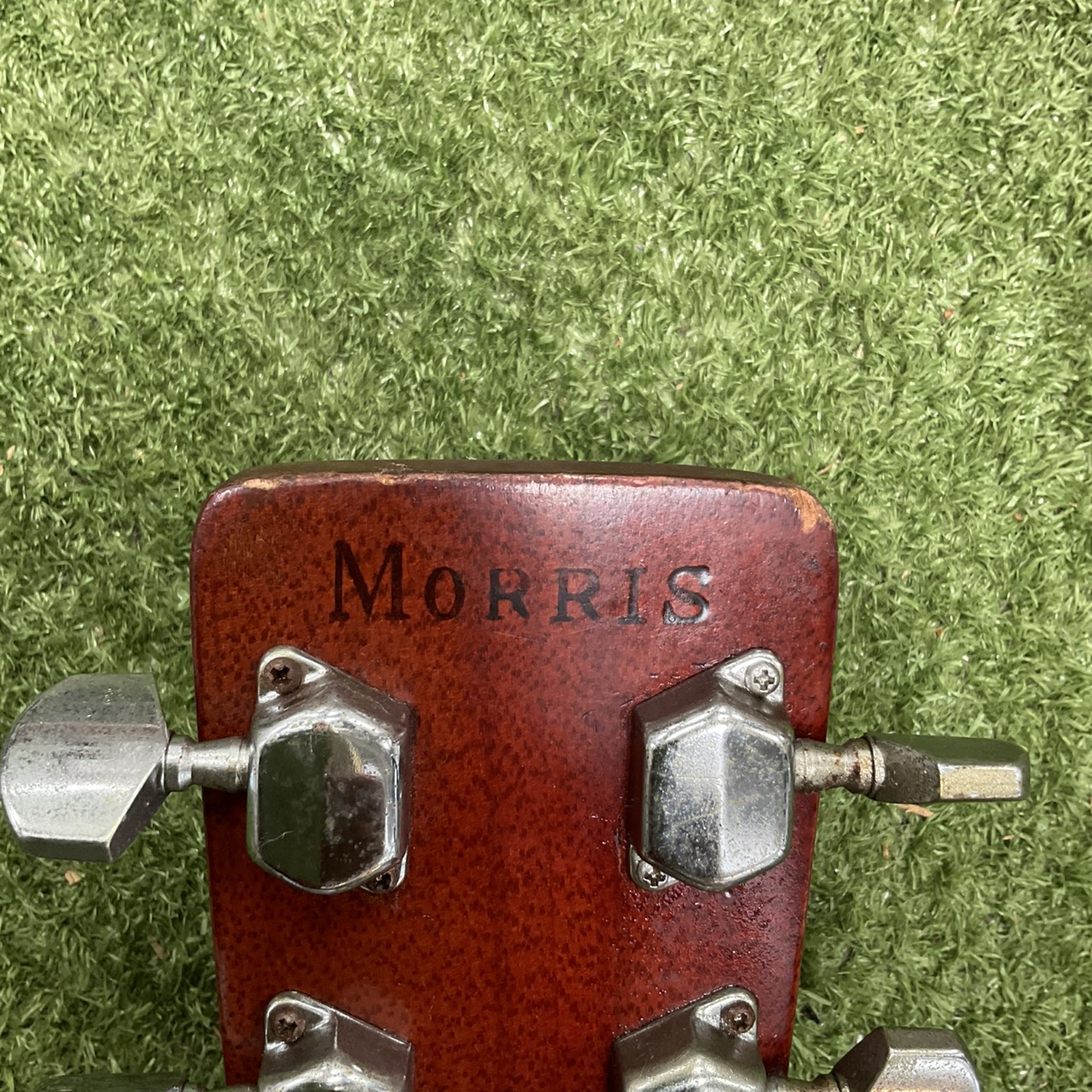 กีต้าร์โปร่ง Morris : W-20