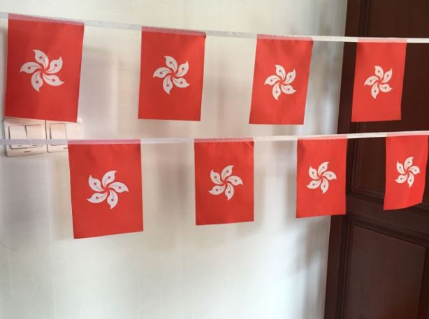 ธงเขตปกครองพิเศษฮ่องกง ธงราวเขตปกครองพิเศษฮ่องกง 香港区旗串旗吊旗串旗小旗子 Hong Kong Special Administrative Region Flag Hong Kong Small Flag for Decoration ธงเขตปกครองพิเศษฮ่องกง สำหรับประดับตกแต่งในงาน ตกแต่งสถานที่ ราคาถูก