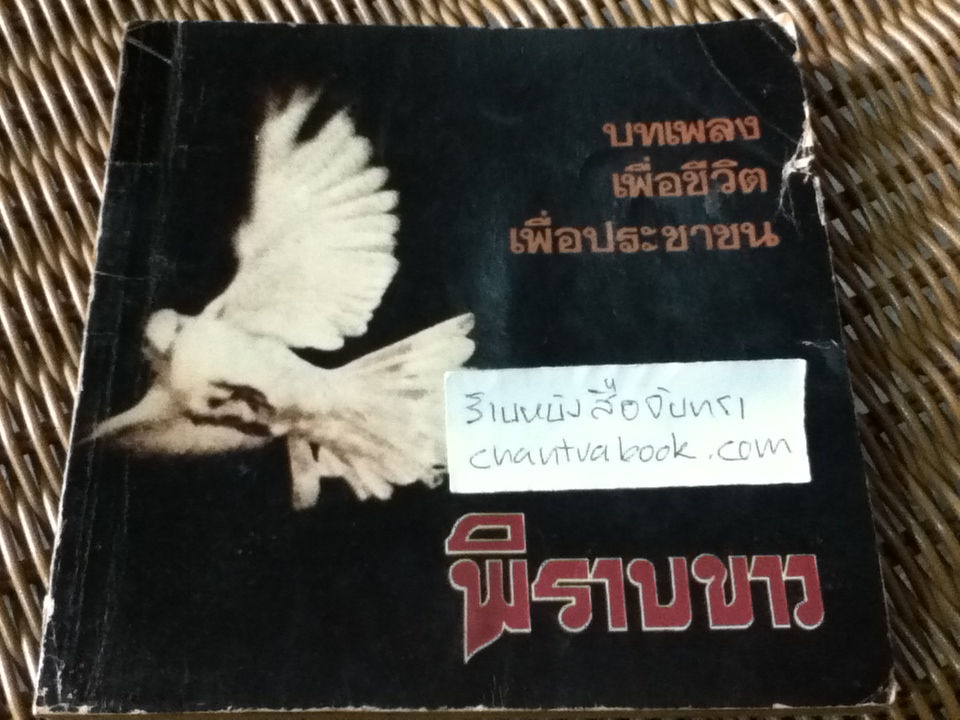 พิราบขาว