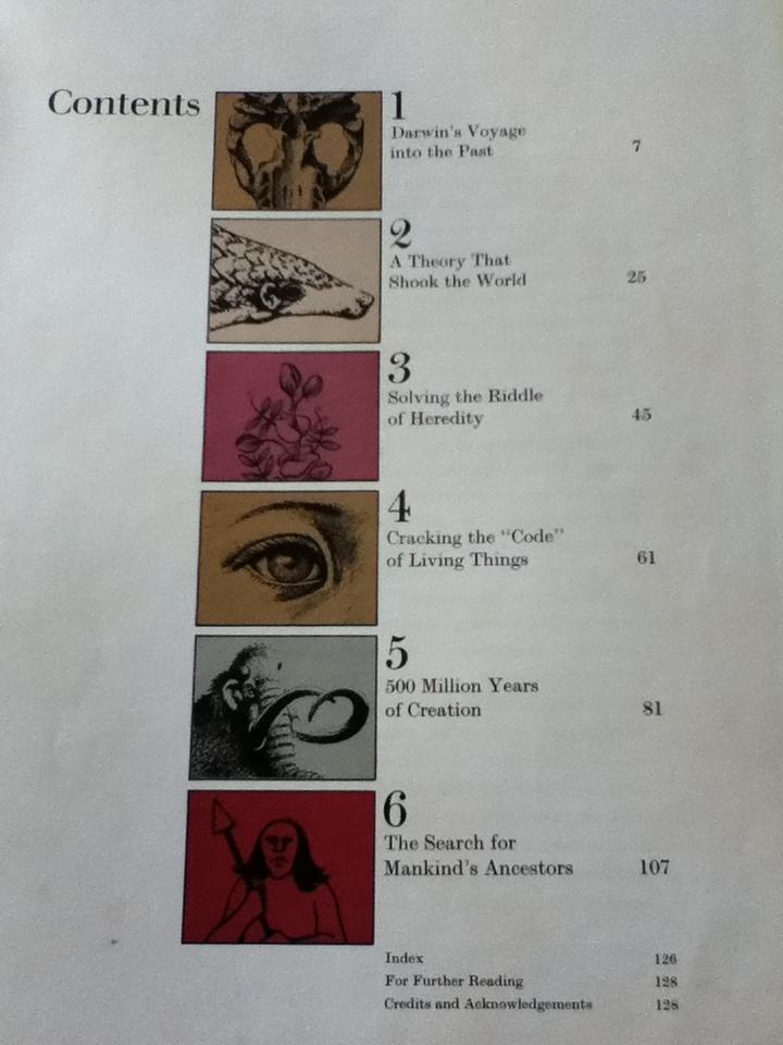 EVOLUTION/ Ruth Moore