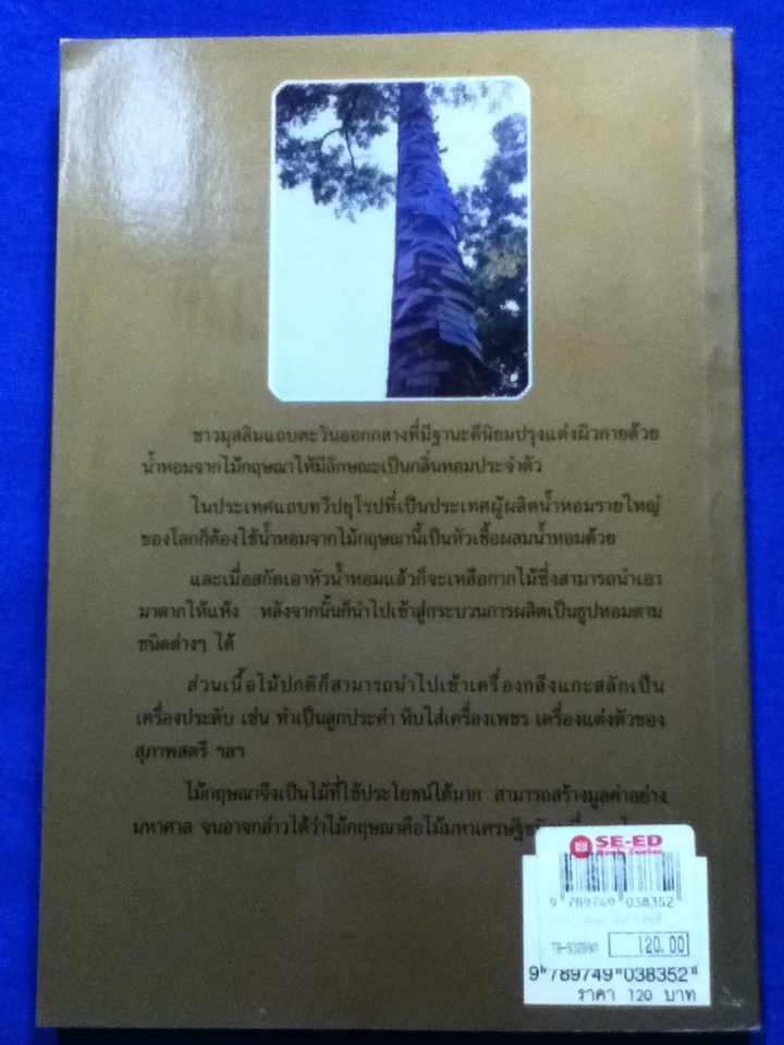 กฤษณา ไม้หอม ไม้มหาเศรษฐี