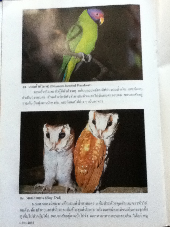 ชีวิตในสวนสัตว์เมืองไทย เล่ม 2 (หนังสือแถม)