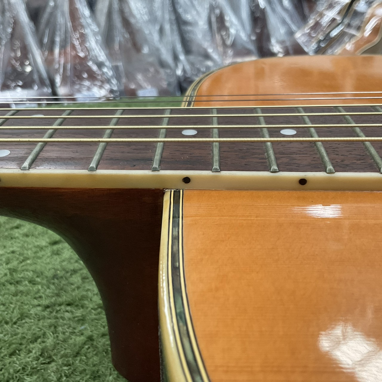 กีต้าร์โปร่ง Morris : W-25