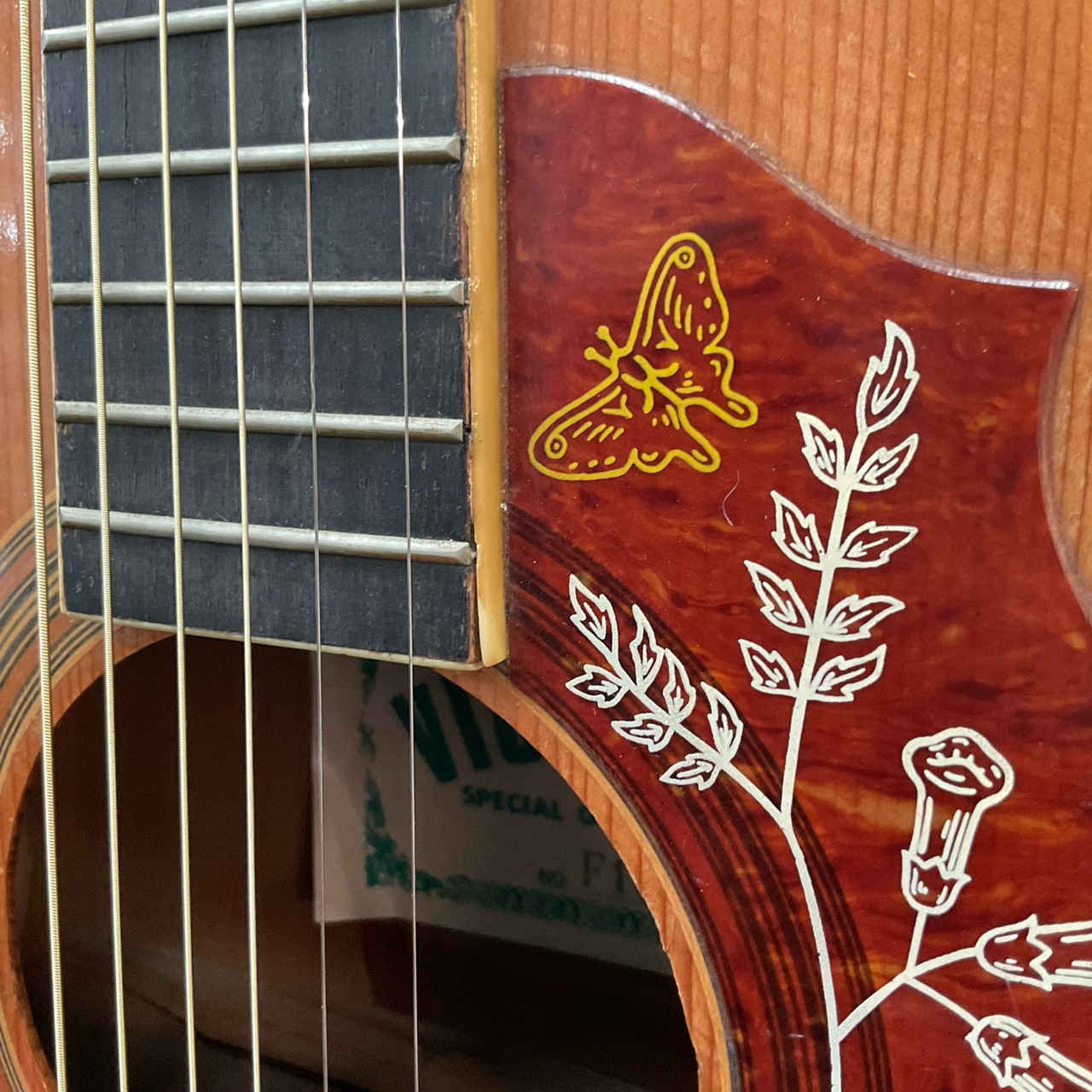 กีต้าร์โปร่ง VICTOR : F180