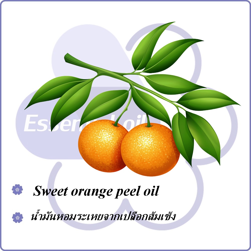 Orange Oil ,Sweet orange peel oil น้ำมันหอมระเหยจากเปลือกส้มเช้ง ละลายในน้ำมันและแอกอฮอล์ - ไม่ เร่งเทรซ COA