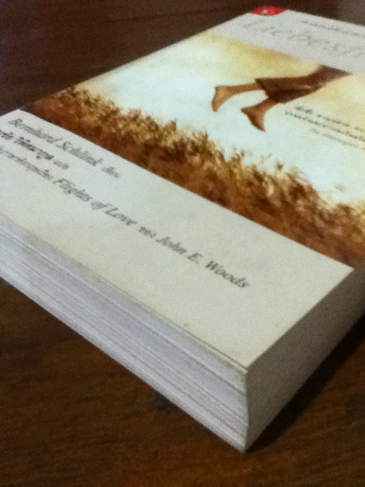 เมื่อรักเดินทาง