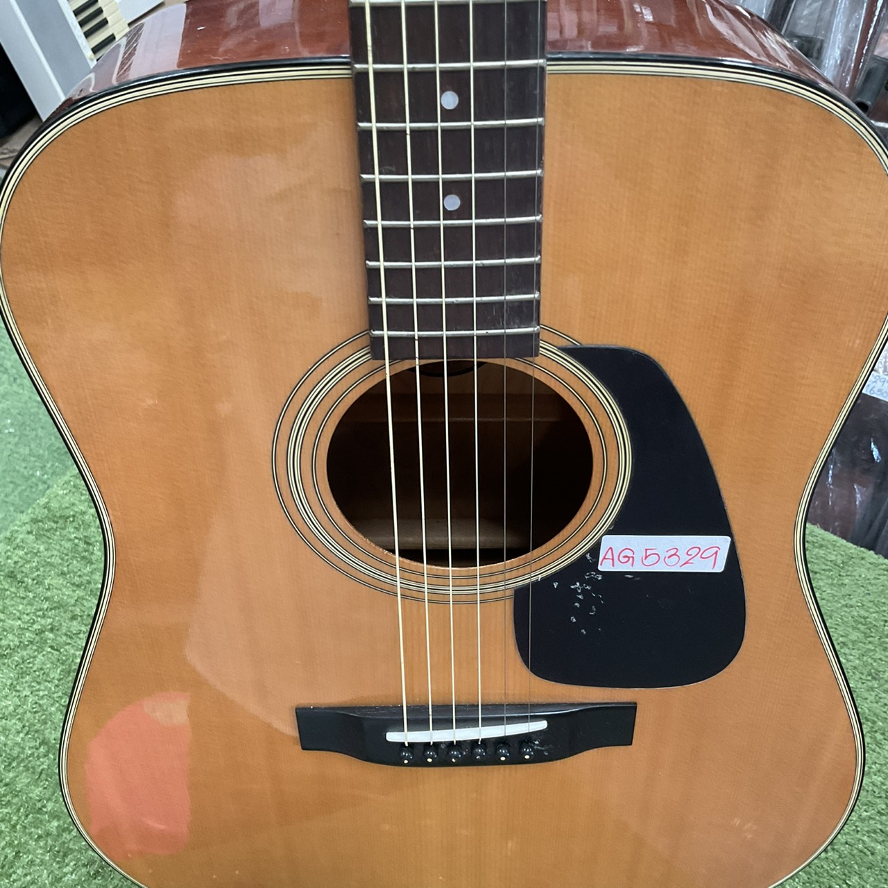 กีต้าร์โปร่ง Morris : MD-501