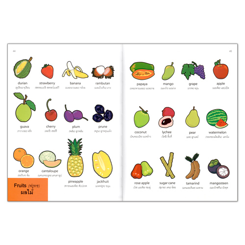 Book World หนังสือ พจนานุกรมภาพคำศัพท์ Children's Picture Dictionary