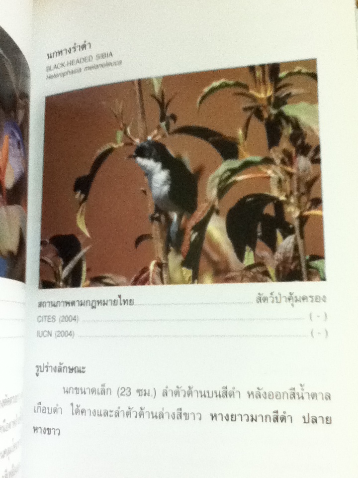 คู่มือจำแนกสัตว์ป่า เพื่องานป้องกัน และปราบปรามการลักลอบค้าสัตว์ป่า