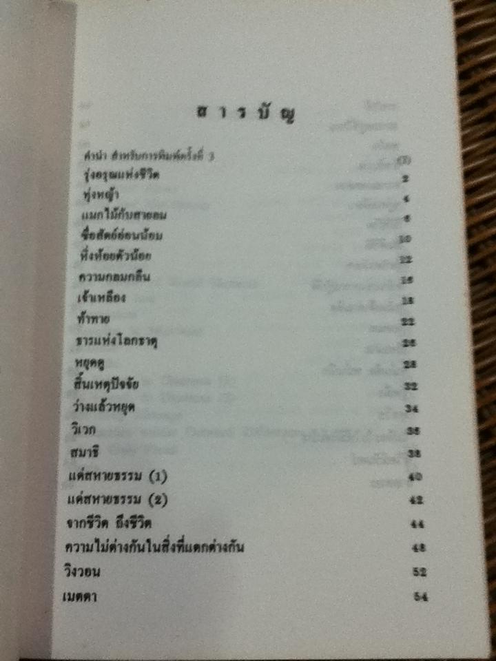 ว่างแล้วหยุด/ ยันตระ อมโรภิกขุ