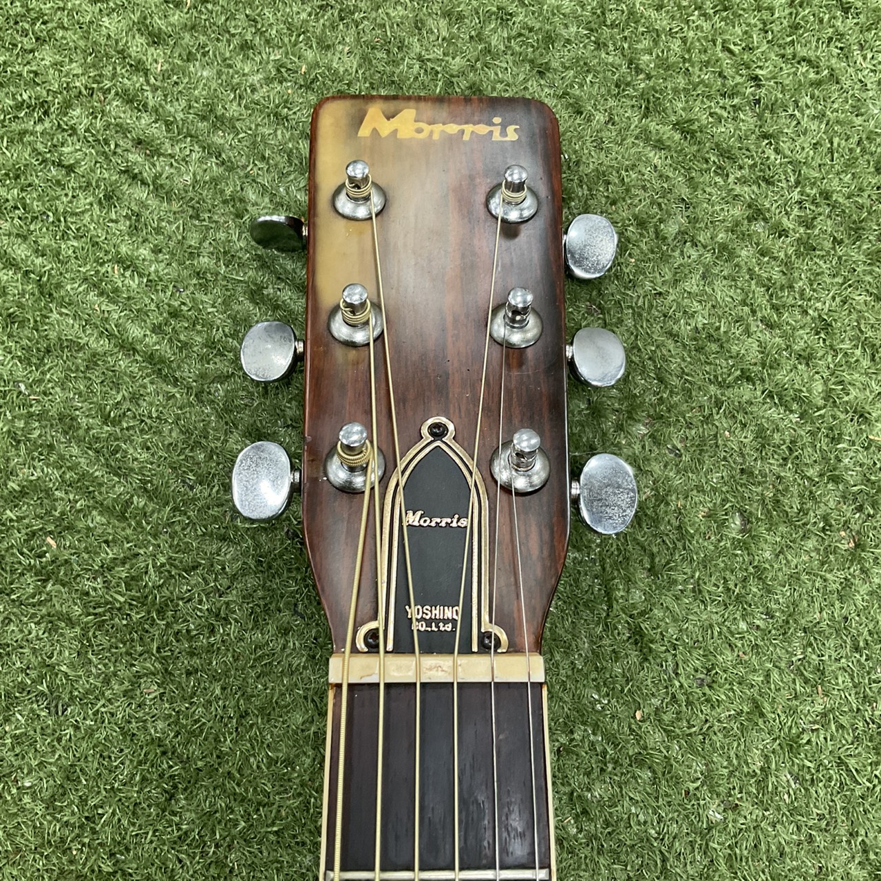 กีต้าร์โปร่ง MORRIS : F15