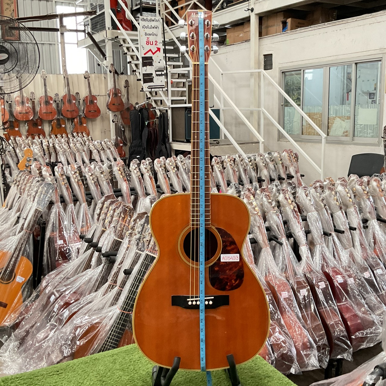 กีต้าร์โปร่ง Morris