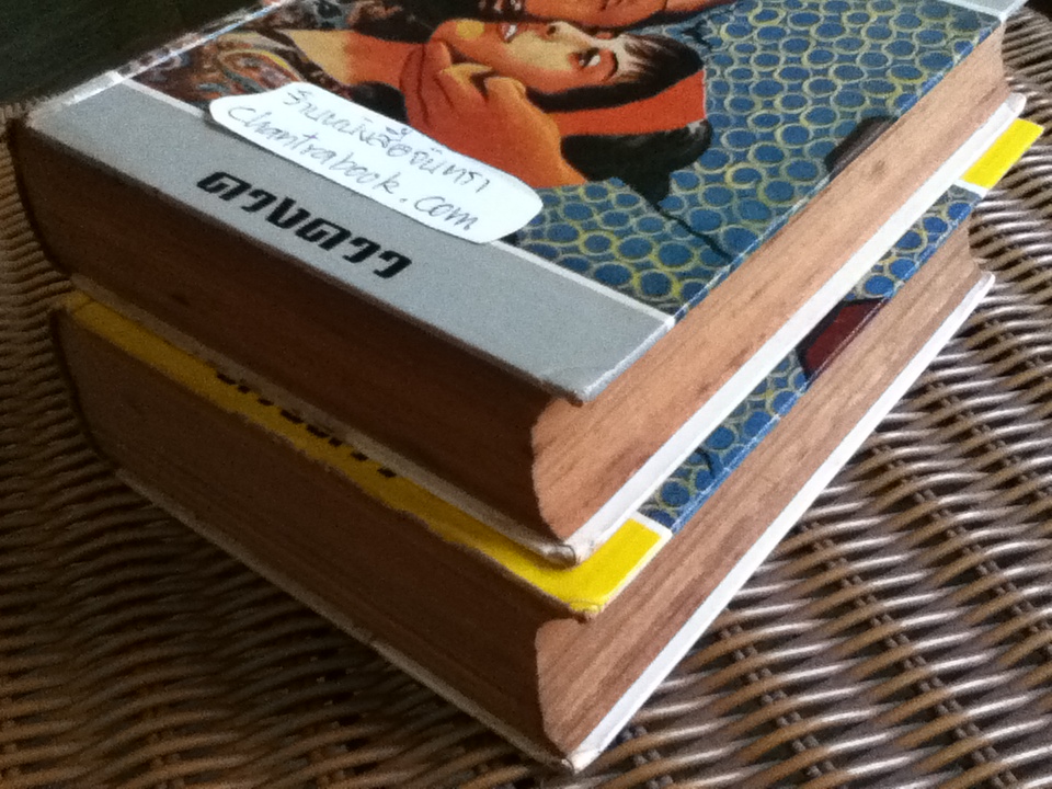 ชายโฉด ( 2 เล่ม/จบ)/ ดวงดาว