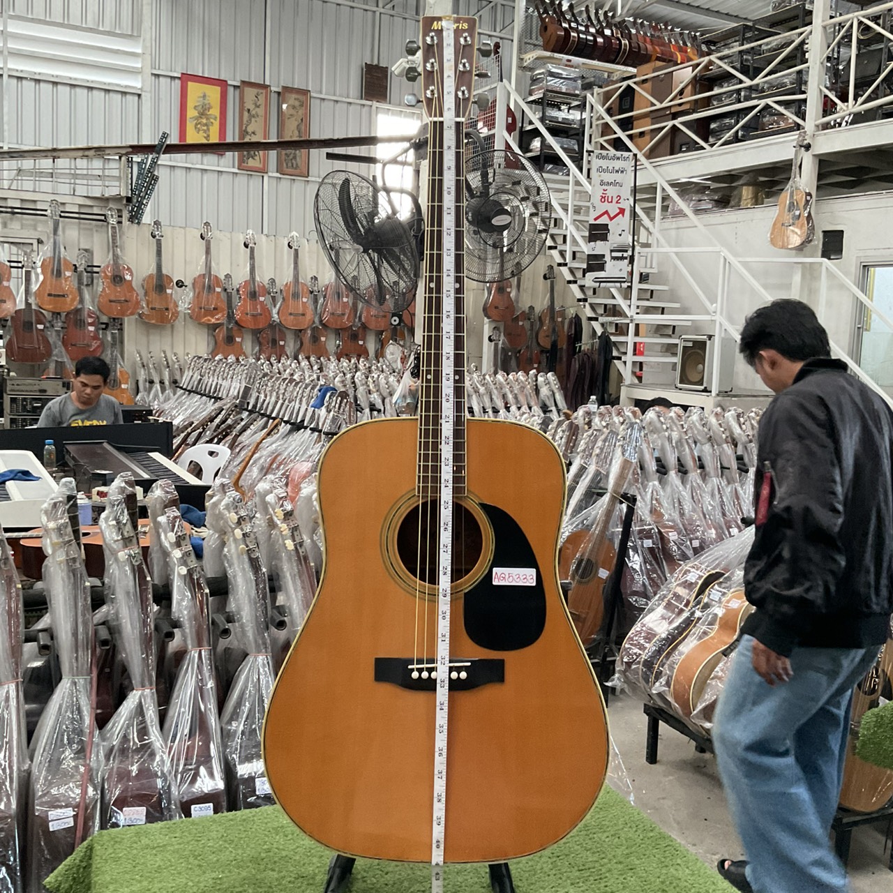 กีต้าร์โปร่ง Morris : W-25