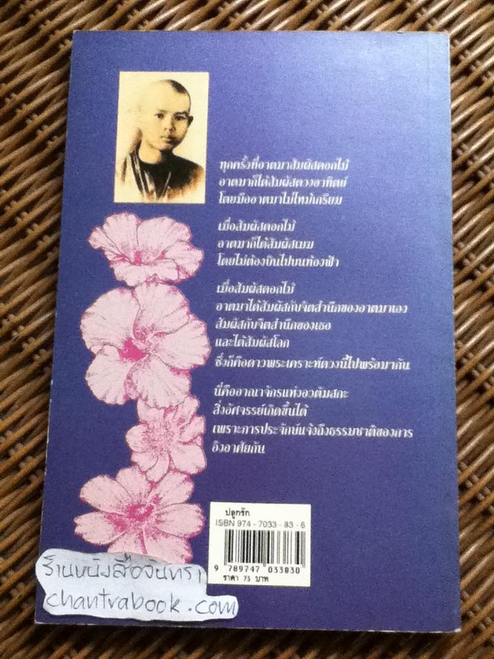 ปลูกรัก/ ติช นัท ฮันห์