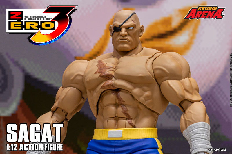 Street Fighter Alpha 3 1/12 Scale Action Figure Sagat(Provisional Pre-order)