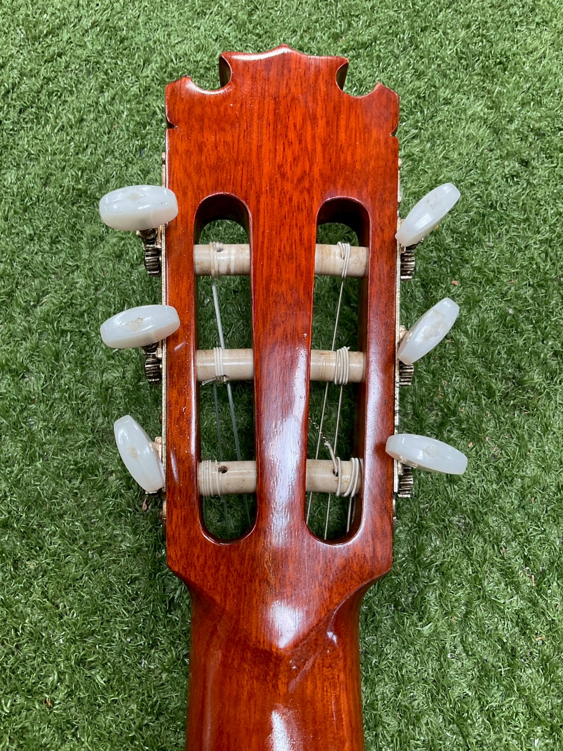 กีต้าร์คลาสสิค Tarrega : TG-25