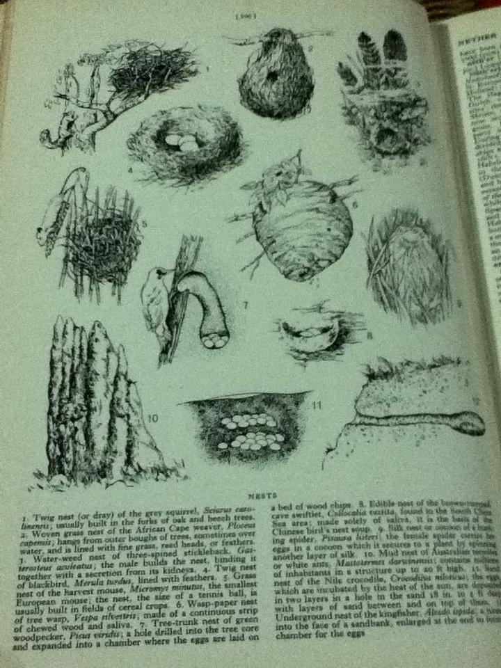 THE READER'S DIGEST GREAT ENCYCLOPAEDIC DICTIONARY VOLUME 1-3