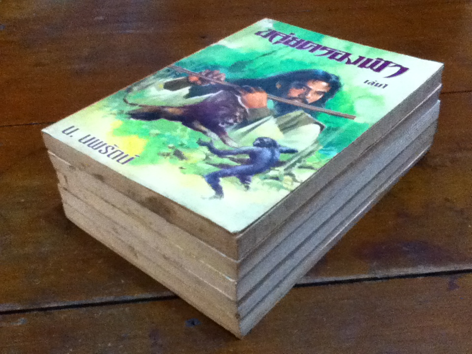 ขลุ่ยครองฟ้า เล่ม 1-4, 6 (6เล่มจบ/ขาดเล่ม 5)