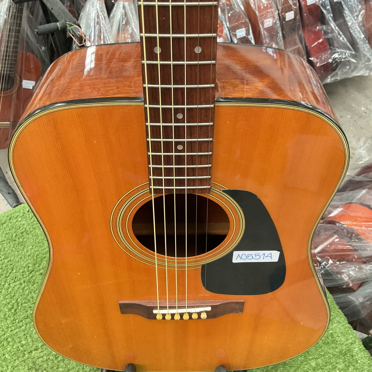 กีต้าร์โปร่ง Morris : MD-503