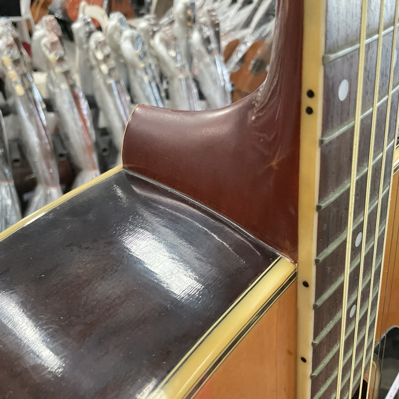 กีต้าร์โปร่ง Morris : W-25