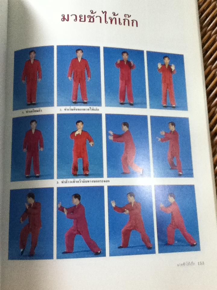 ไท้เก็ก โยคะ สมาธิ อุบายวิธีสู่ความสงบเย็น/ สุพล โล่ห์ชิตกุล