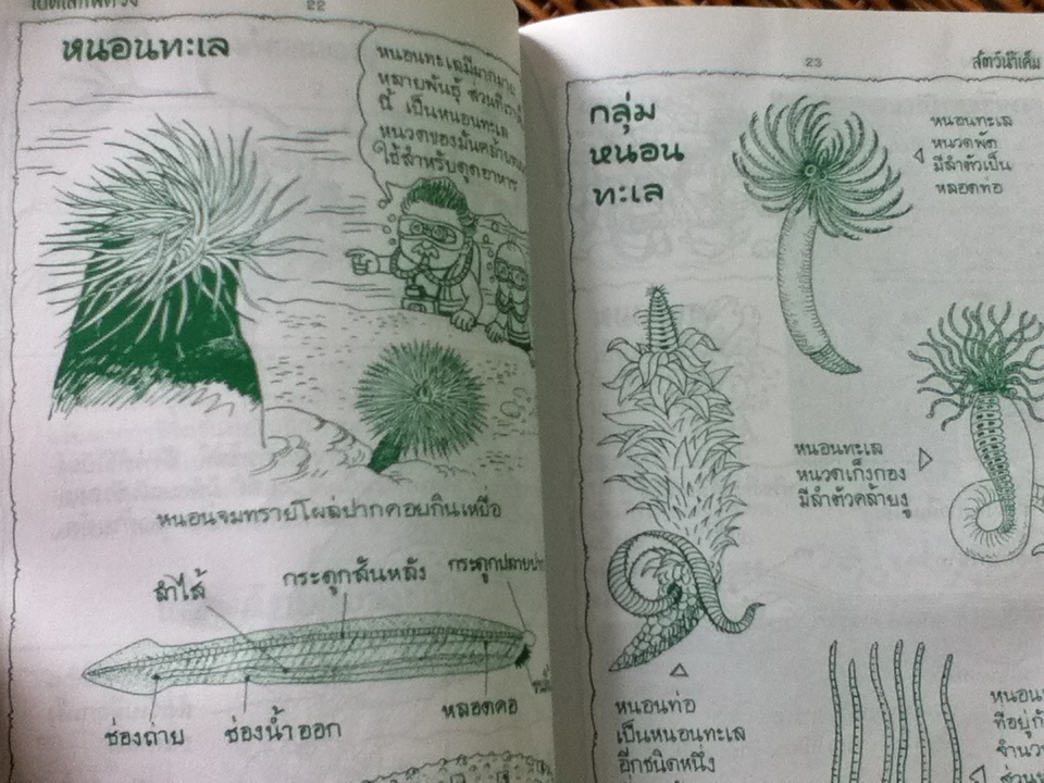 เปิดโลกพิศวงสัตว์น้ำ/ อ.เสน่ห์ ธนารัตนะสฤษดิ์ (หนังสือแถม)