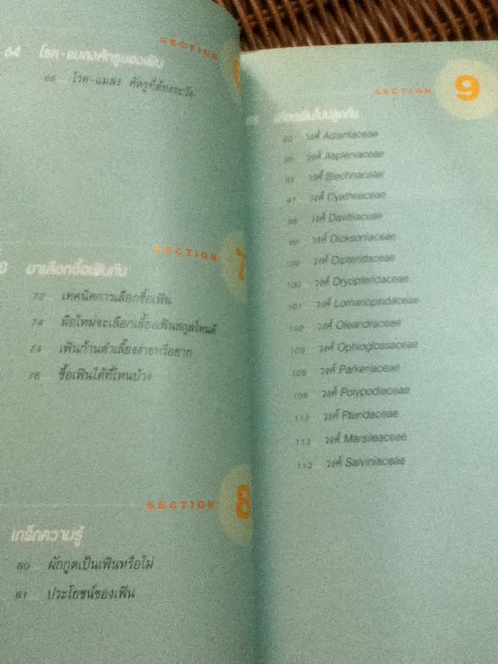 มือใหม่หัดปลูกเฟิน/ อุไร จิรมงคลการ