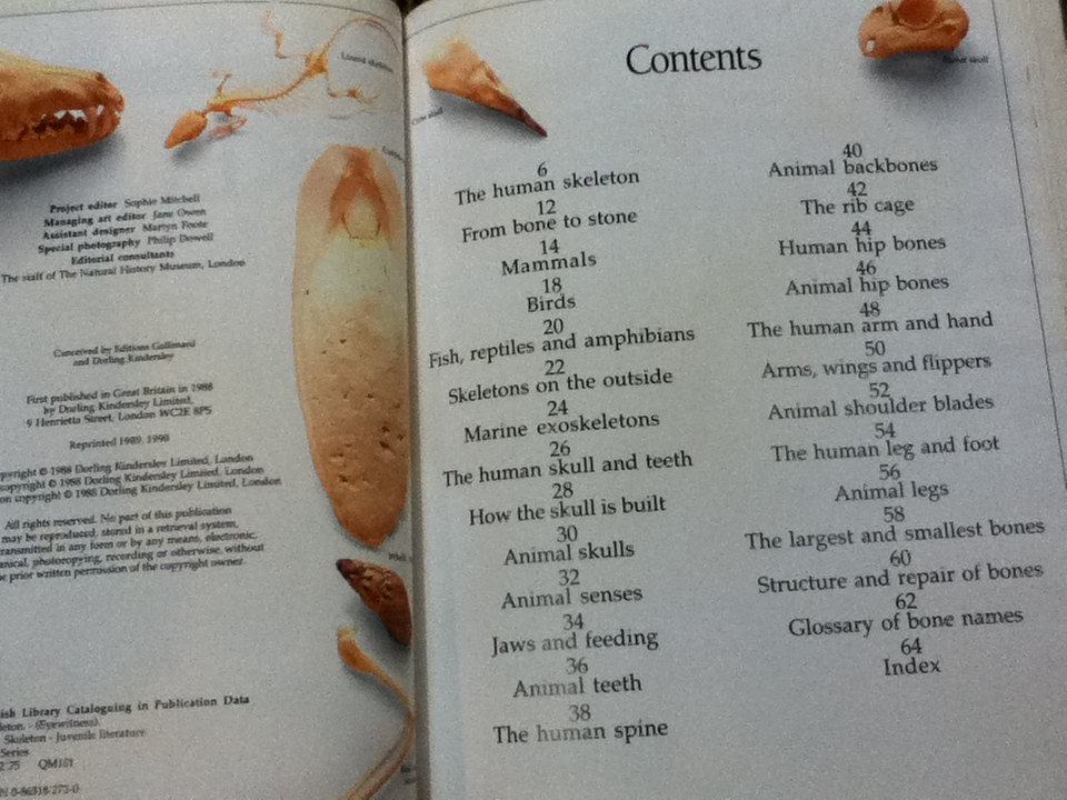 EYEWITNESS GUIDES 9 เล่ม