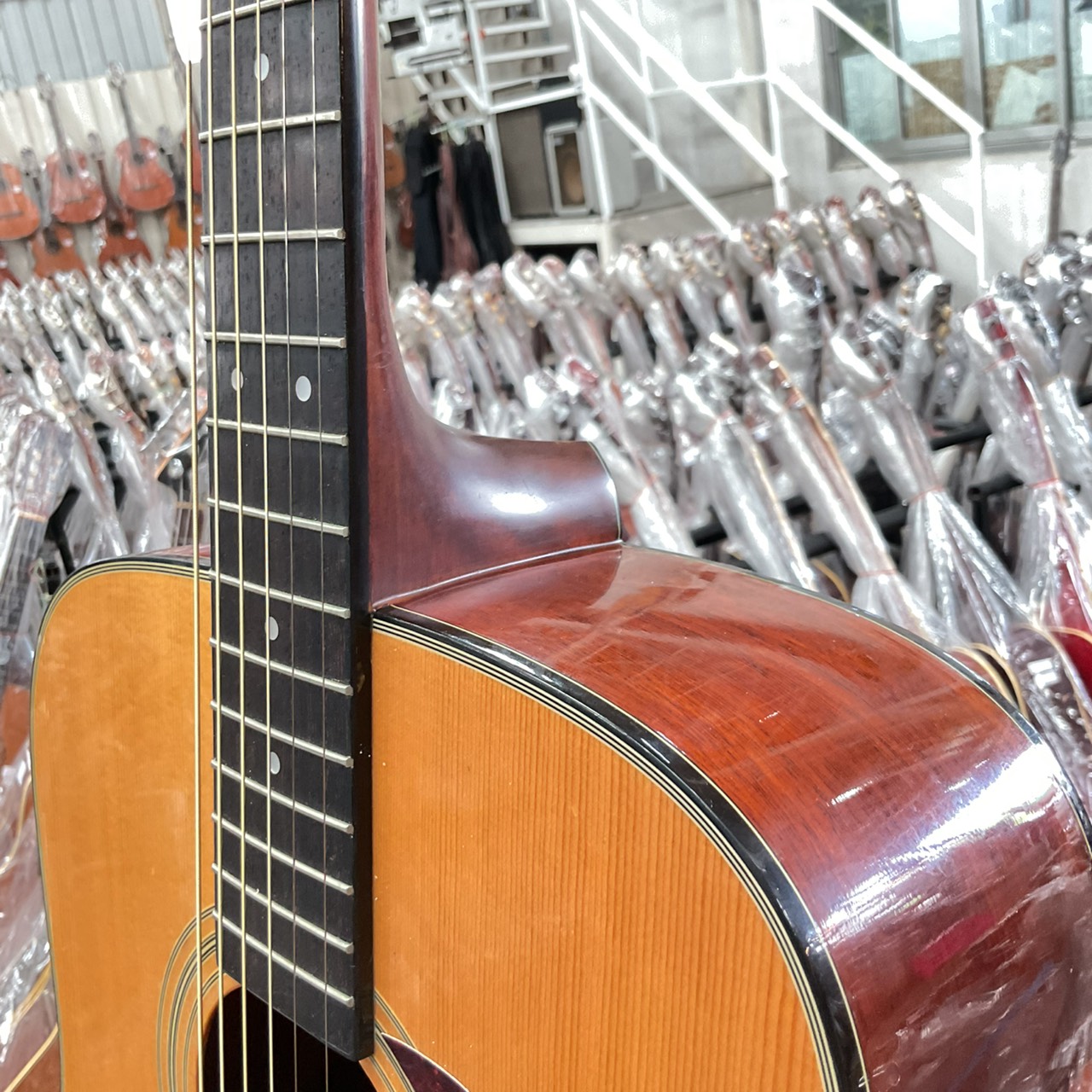 กีต้าร์โปร่ง MORRIS : M-01NAT