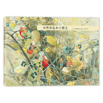 (Pre-order) หนังสือภาพประกอบสำหรับเด็ก Flowers and Fairies in the Field
