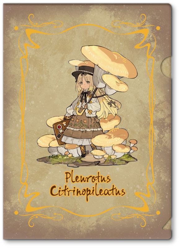 [Bonus] Mushroom Girls Series No.3 Pleurotus Citrinopileatus 1/1 Complete Figure(Pre-order)