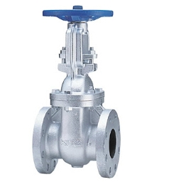 CAST IRON GATE VALVE, KITZ, 10FCL, Size 3"