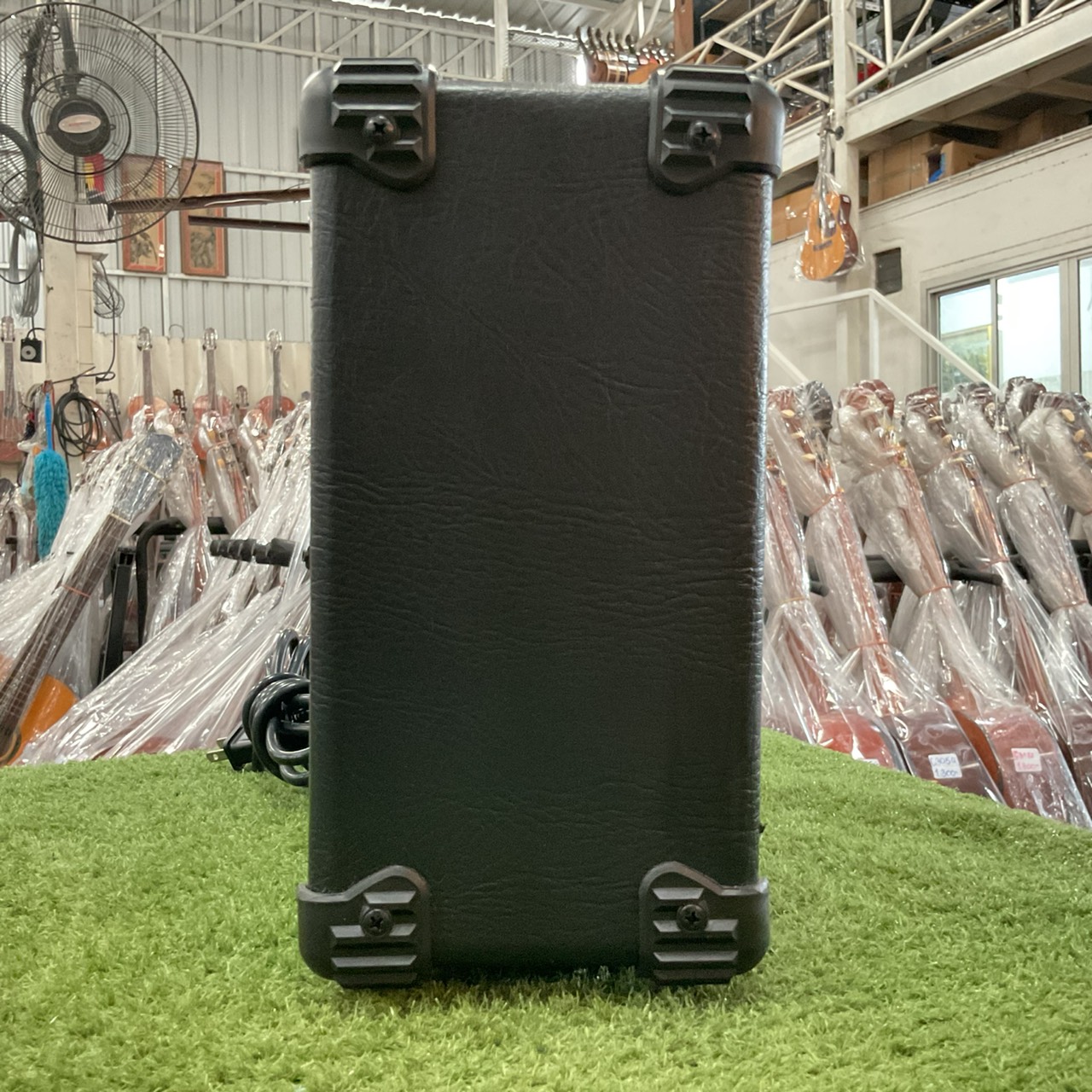 แอมป์กีต้าร์ Aria Pro II : AG-10 MkII