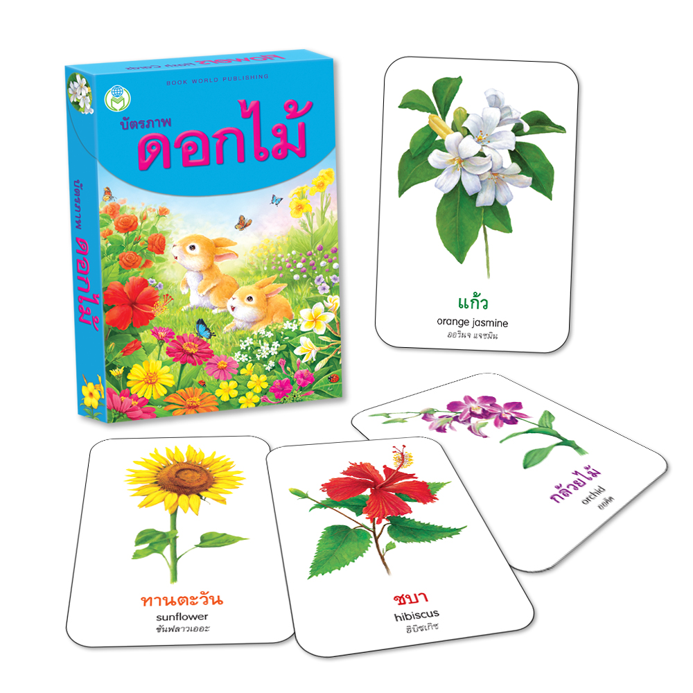 Book World Flash Card บัตรคำ บัตรภาพชุดที่ 13 (ดอกไม้, ผลไม้, ผัก, สัตว์) 1 ชุด มี 4 กล่อง