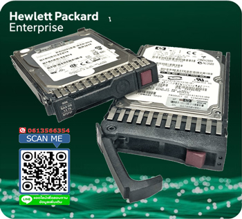 HP 300GB,6G,SAS, 10K,2.5in, DP, ENT HDD,Wty, 713815-B21, 713958-001, 693569-005, EG0300FCVBF