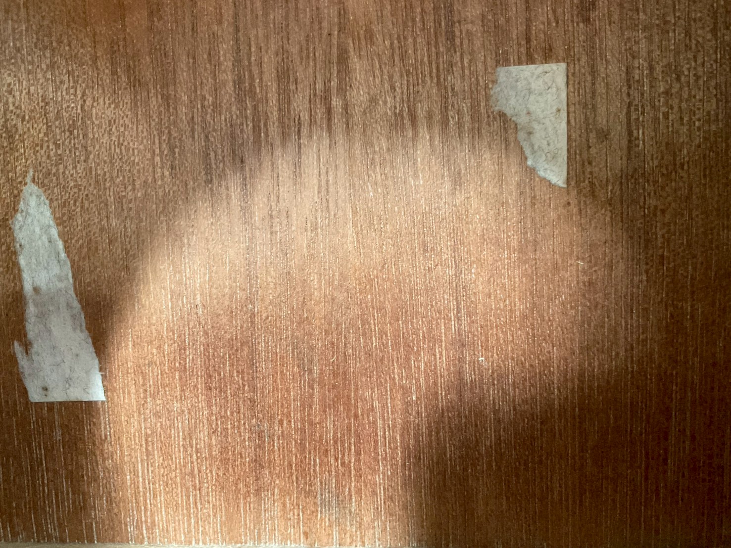 กีต้าร์โปร่ง Hamox Deluxe