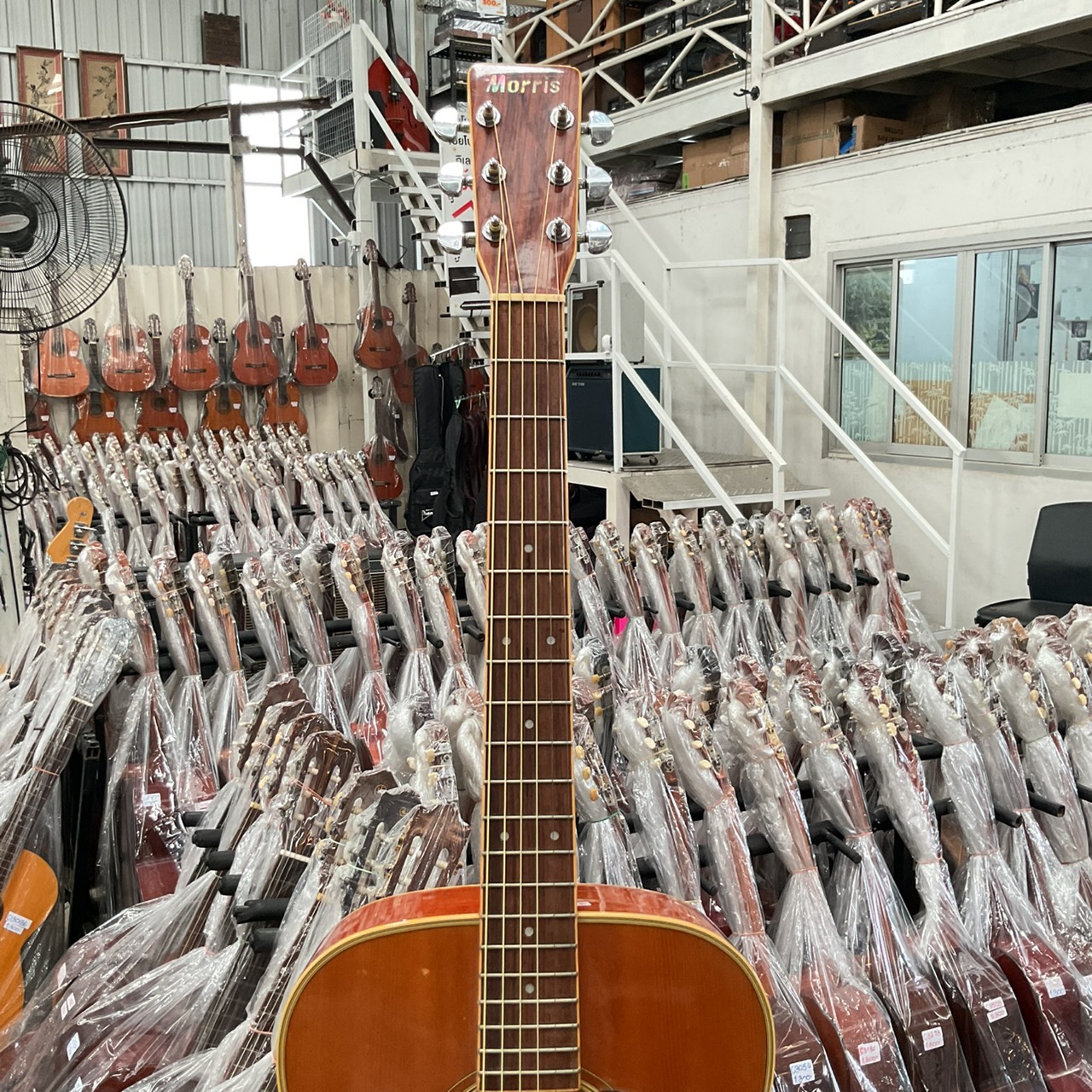 กีต้าร์โปร่ง Morris