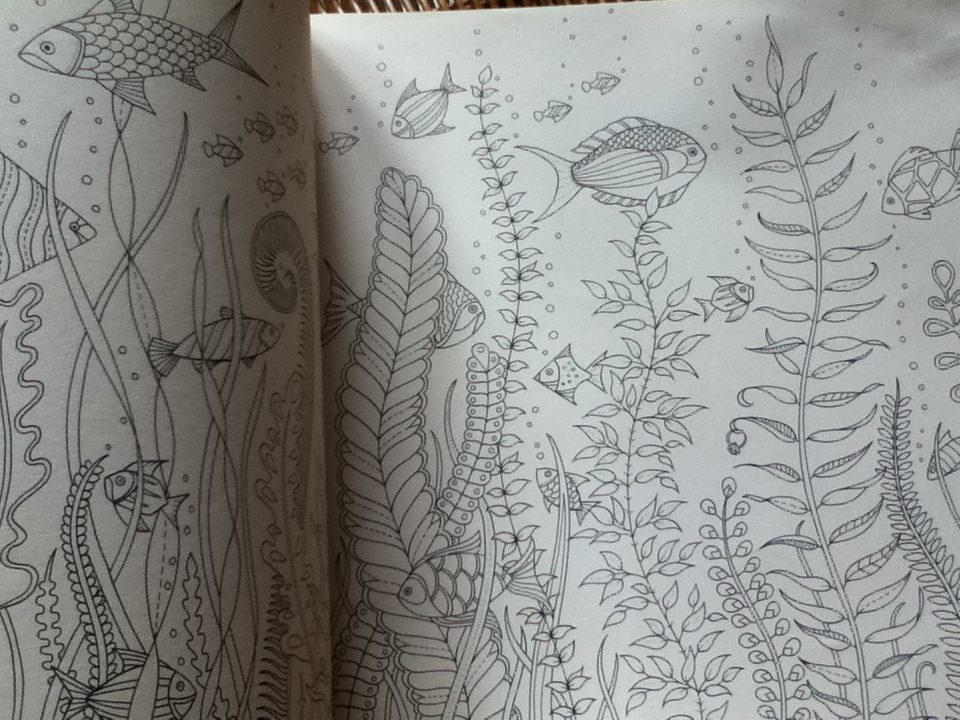 มายามหาสมุทร หนังสือระบายสีผจญภัยใต้ท้องทะเล/ โจฮันน่า บาสฟอร์ด