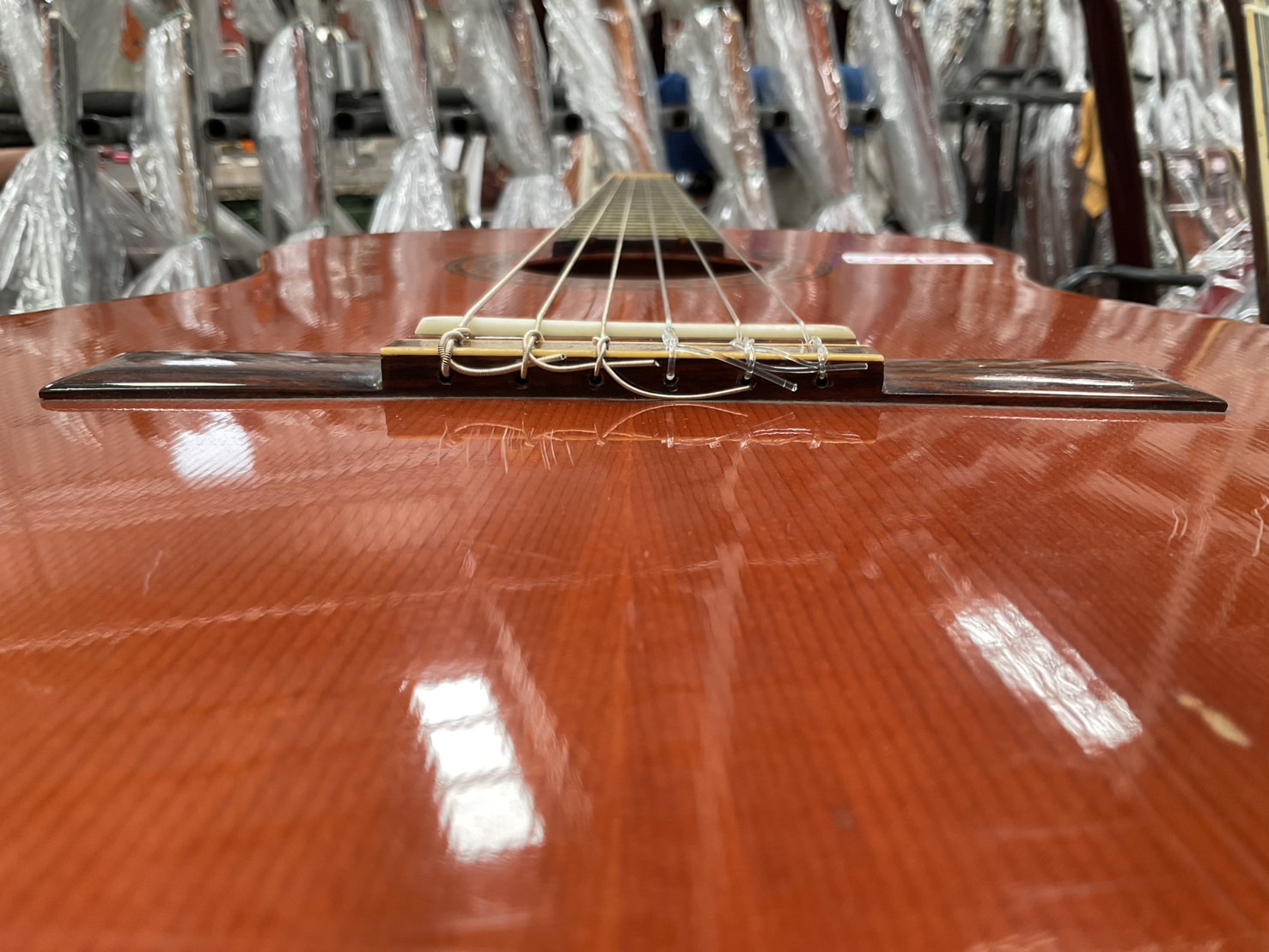 กีต้าร์คลาสสิค SUZUKI : No.36