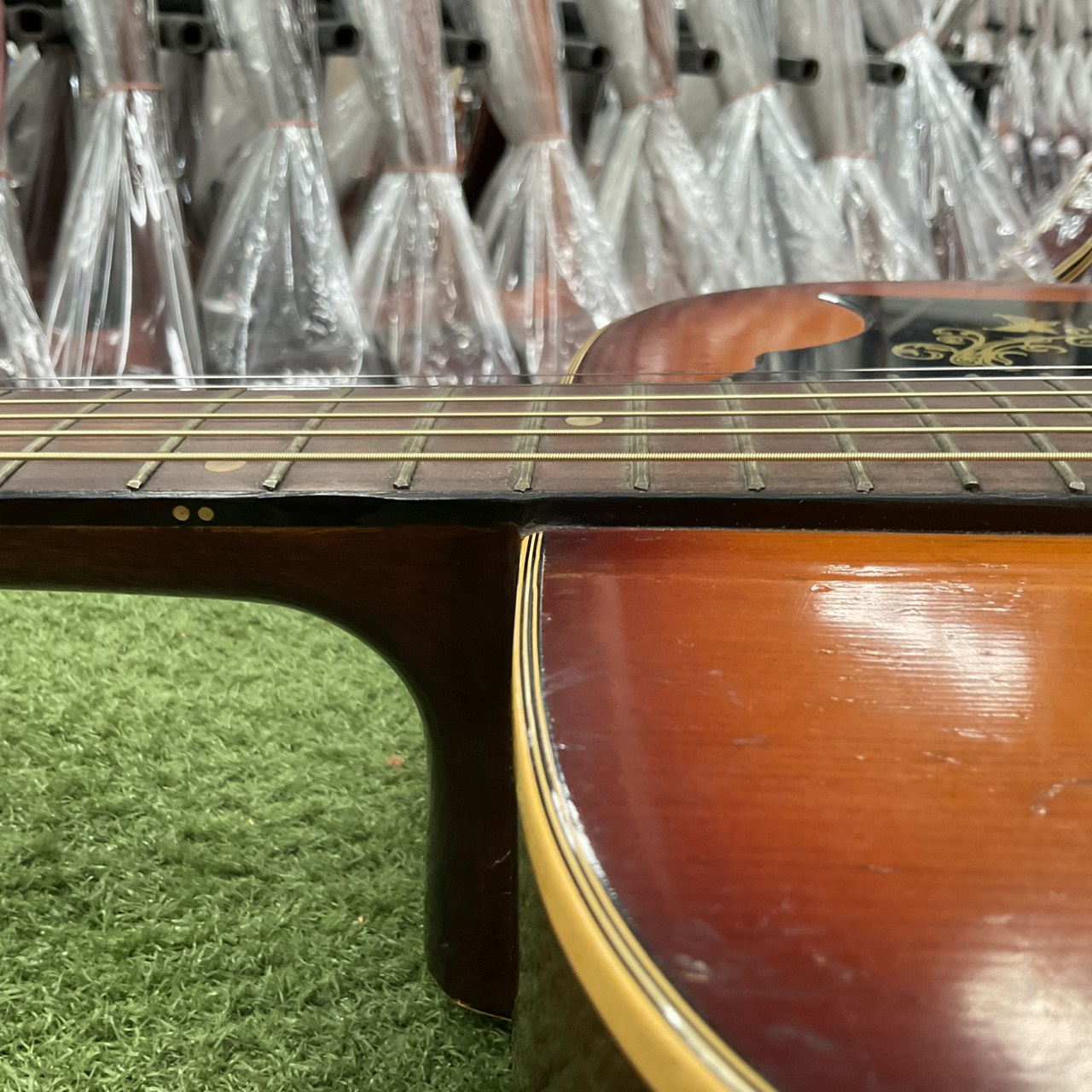 กีต้าร์โปร่ง Emperador : Metoro / F150