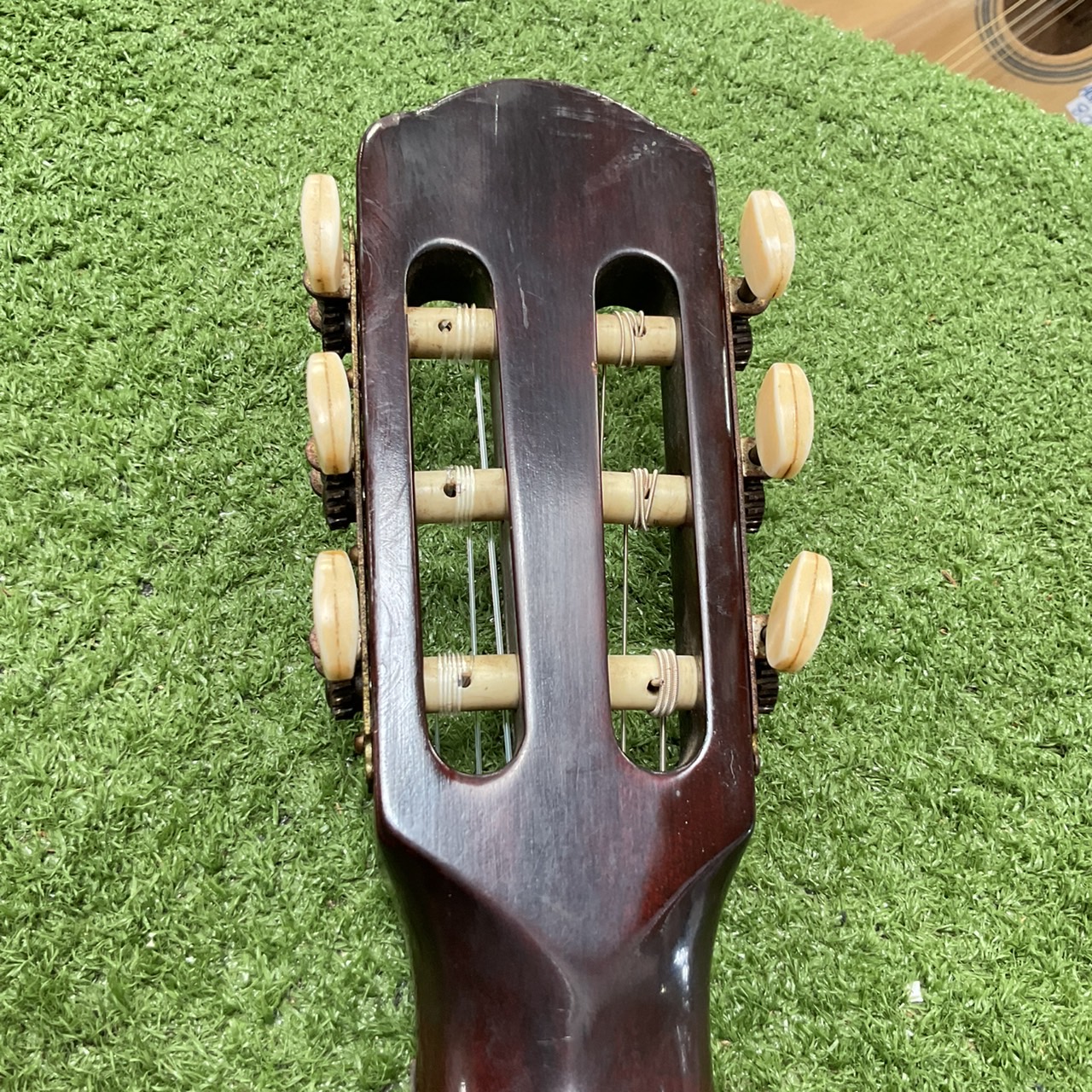กีต้าร์คลาสสิค TOKAI